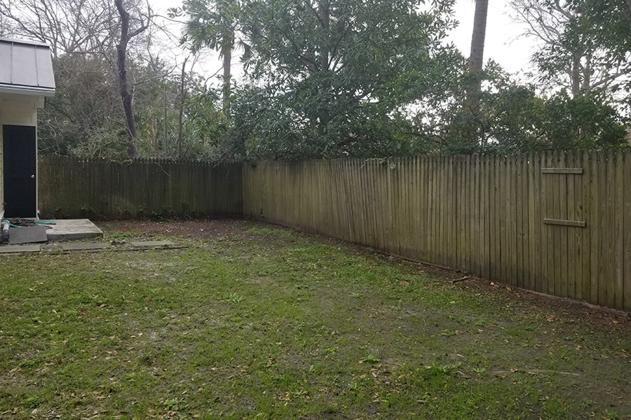 Fence Rot